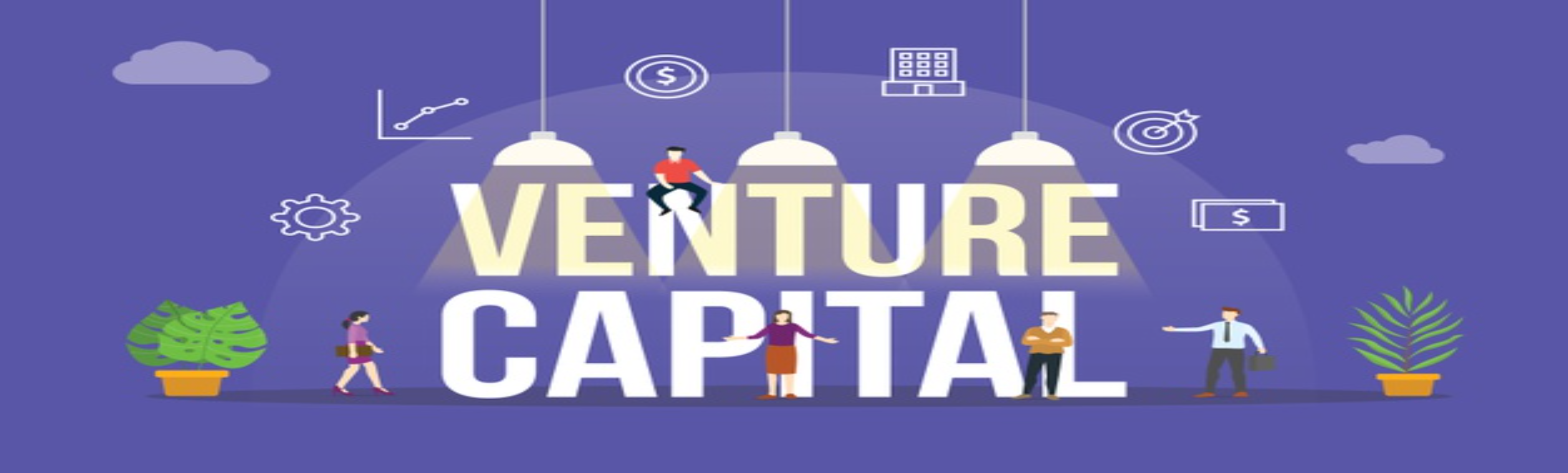 How do venture capitalists make investment choices?