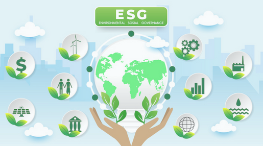 The Rise of ESG Investing